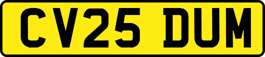 CV25DUM
