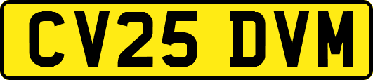 CV25DVM
