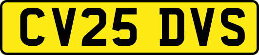 CV25DVS