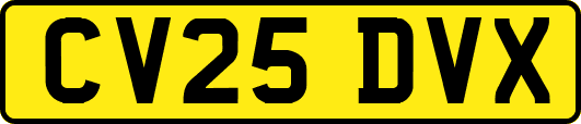 CV25DVX