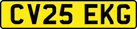 CV25EKG