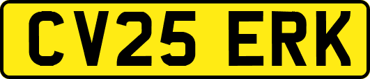 CV25ERK