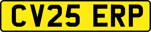 CV25ERP