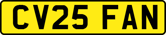 CV25FAN