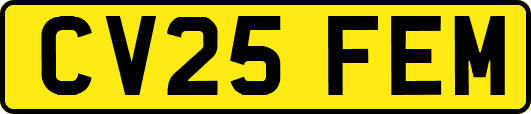 CV25FEM