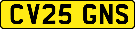 CV25GNS