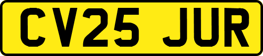 CV25JUR