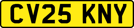CV25KNY