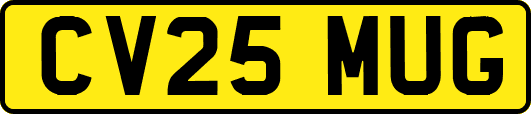 CV25MUG