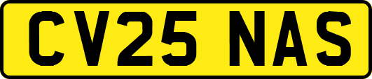 CV25NAS