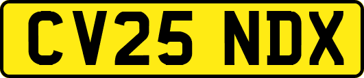 CV25NDX