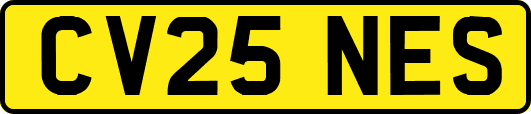 CV25NES