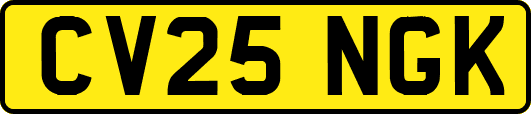 CV25NGK