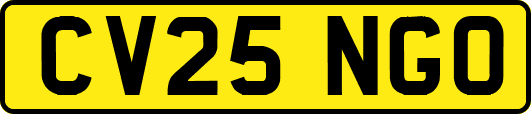 CV25NGO