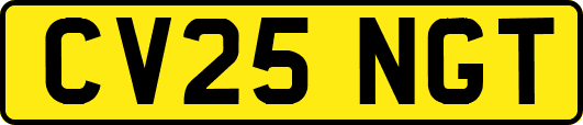 CV25NGT