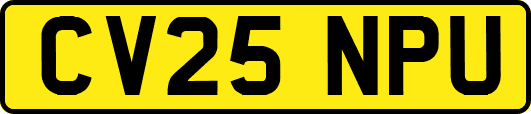 CV25NPU