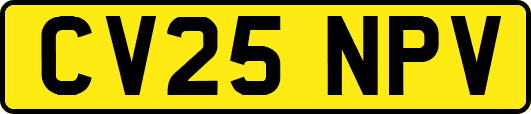 CV25NPV