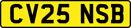 CV25NSB