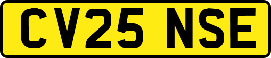 CV25NSE