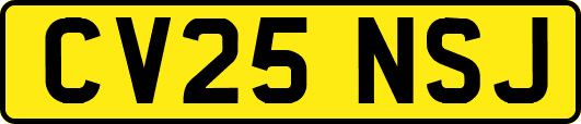 CV25NSJ