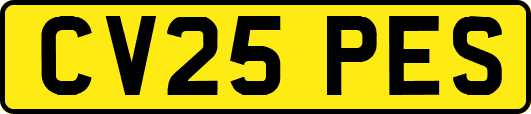 CV25PES