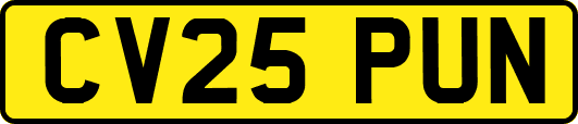 CV25PUN