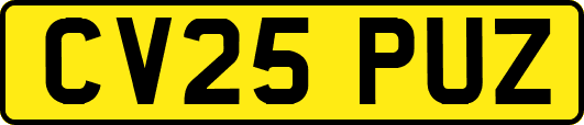 CV25PUZ