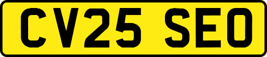 CV25SEO