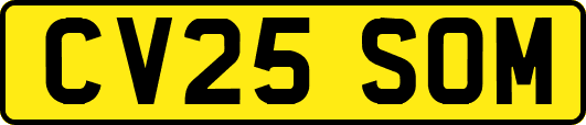 CV25SOM