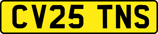 CV25TNS