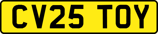 CV25TOY