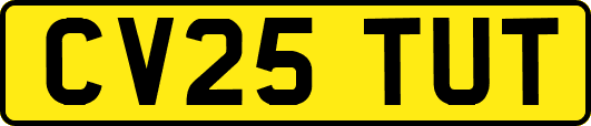 CV25TUT