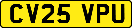 CV25VPU