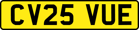 CV25VUE