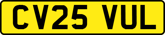 CV25VUL