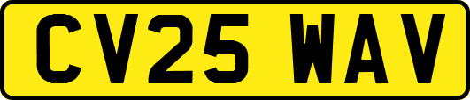 CV25WAV