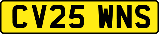 CV25WNS