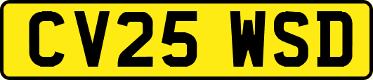 CV25WSD