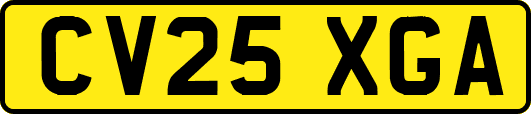 CV25XGA