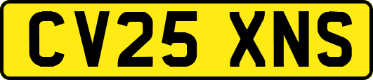 CV25XNS