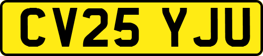 CV25YJU