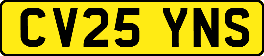 CV25YNS