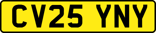 CV25YNY