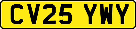 CV25YWY