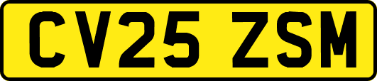 CV25ZSM