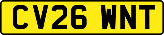 CV26WNT