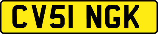 CV51NGK