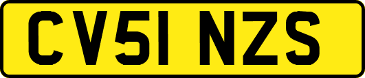 CV51NZS