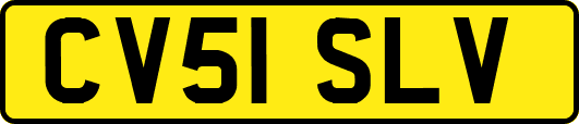 CV51SLV