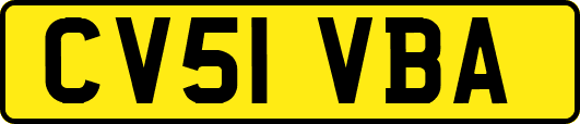 CV51VBA